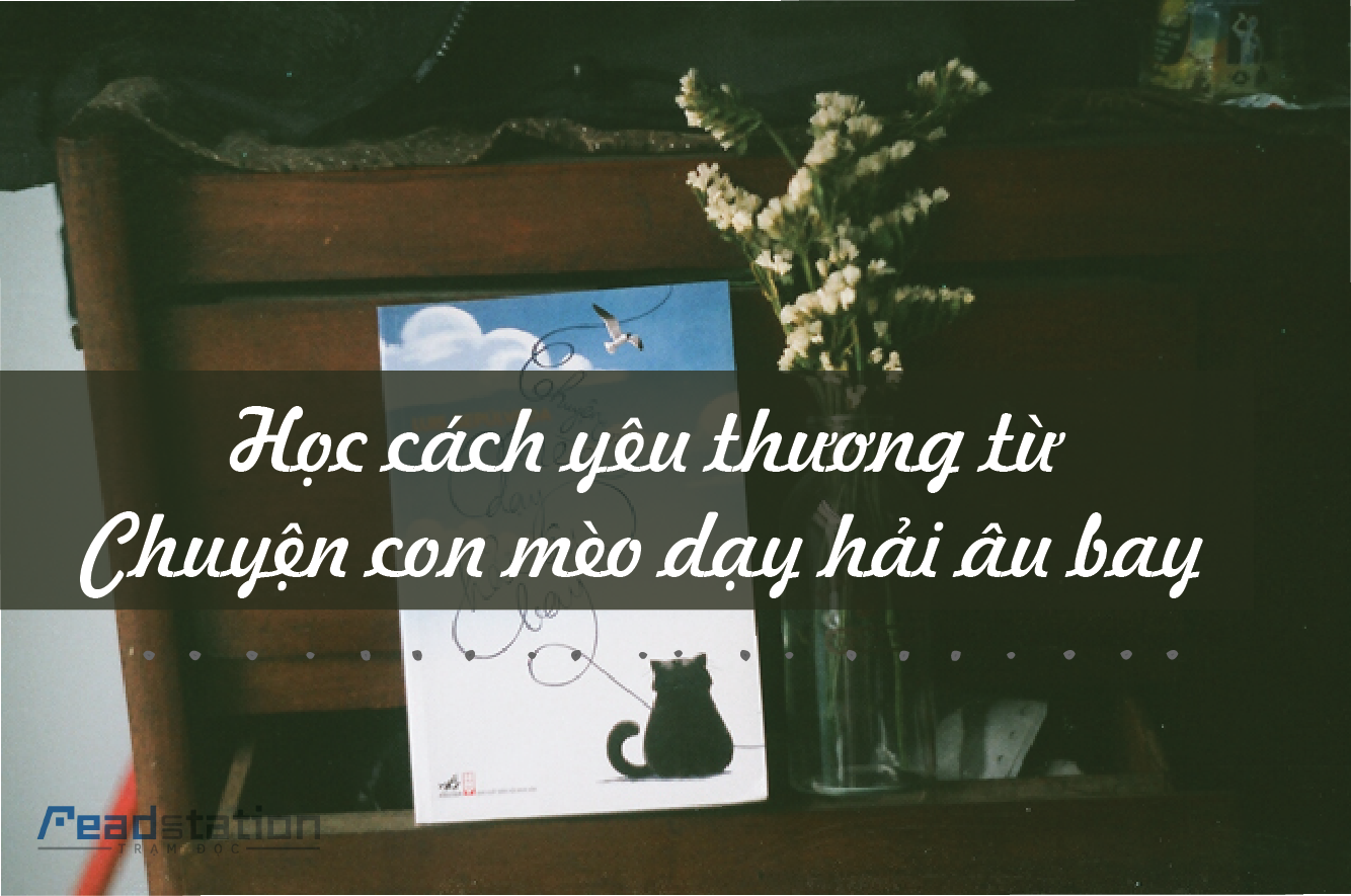 Bài học từ một con mèo (Và một con chim)