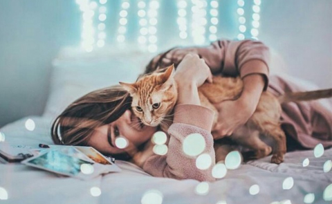 10 tựa sách viết về mèo cho những