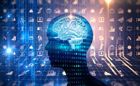 Khoa học thần kinh và kinh tế học thần kinh của sự lựa chọn