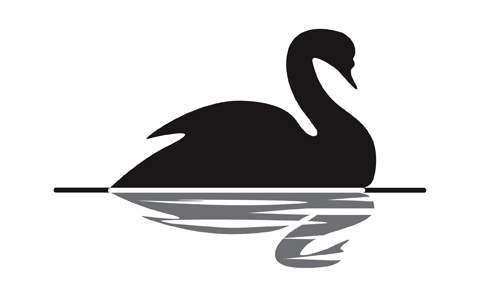 Bạn học được gì từ Thiên Nga Đen?