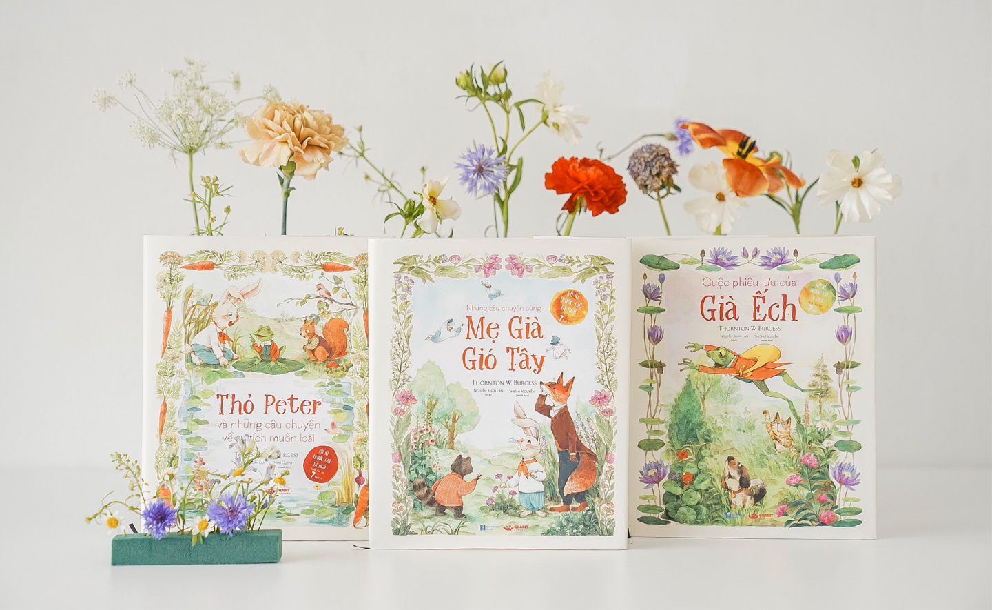 “Những chuyện kể của Thornton Burgess” và câu chuyện về sự khởi đầu của Burgess