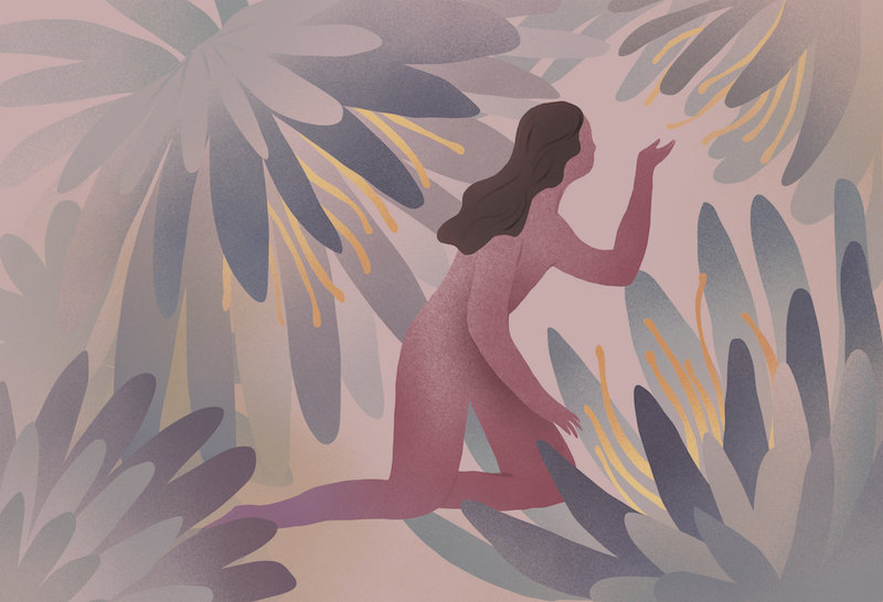 Loài động vật có đời sống tình dục kỳ quặc nhất