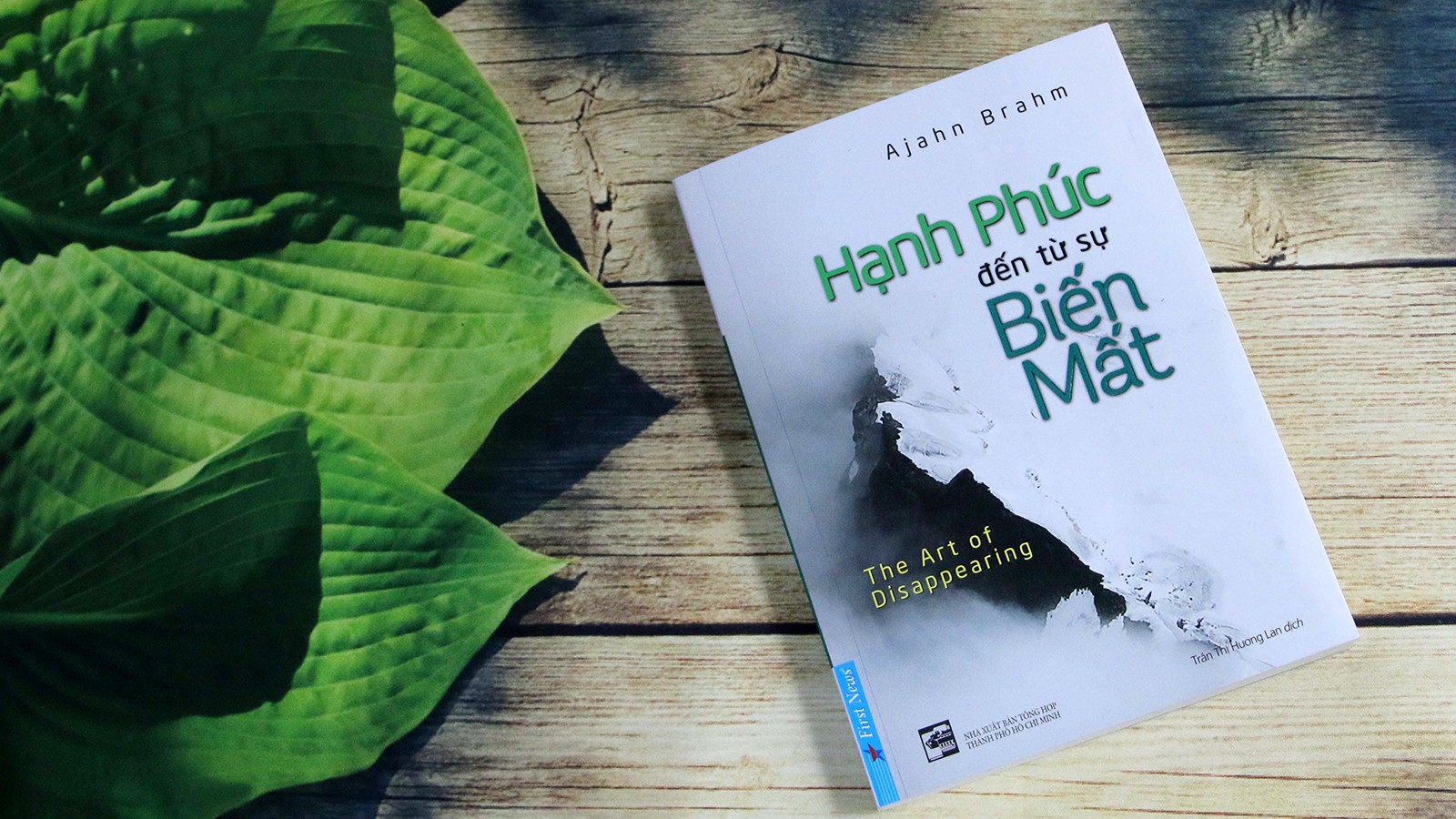 Hạnh phúc đến từ sự biến mất: Những câu thần chú giúp bạn buông bỏ đời sống tiêu cực