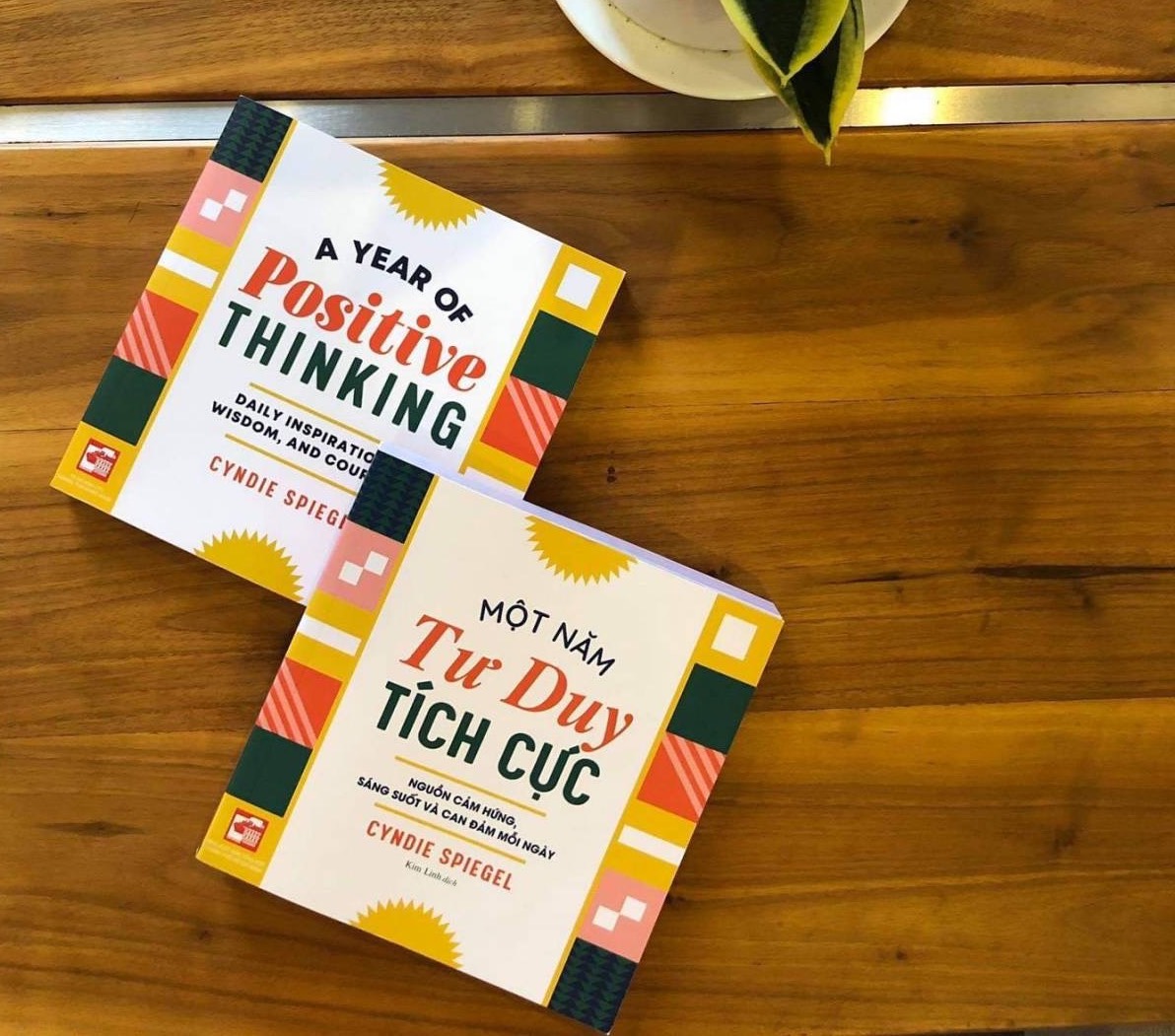 Một năm tư duy tích cực - Thay đổi tâm trí, thay đổi cuộc đời
