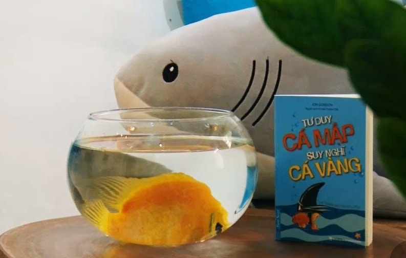 Tư duy cá mập - Nếu được cho ăn, bạn hoàn toàn bằng lòng ở yên trong chiếc ‘vỏ ốc’