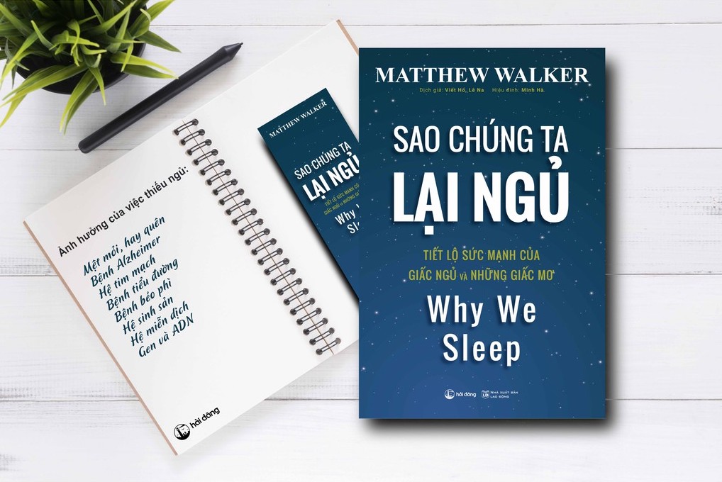 Sao chúng ta lại ngủ - trân trọng giấc ngủ để khỏe mạnh, sống lâu và thành công