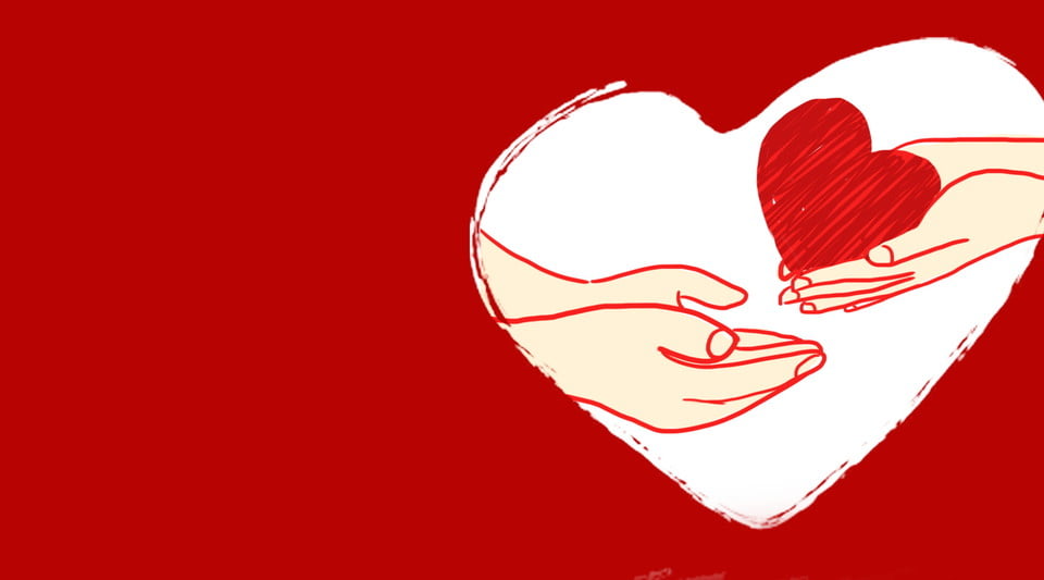 Yêu, như một người làm vườn