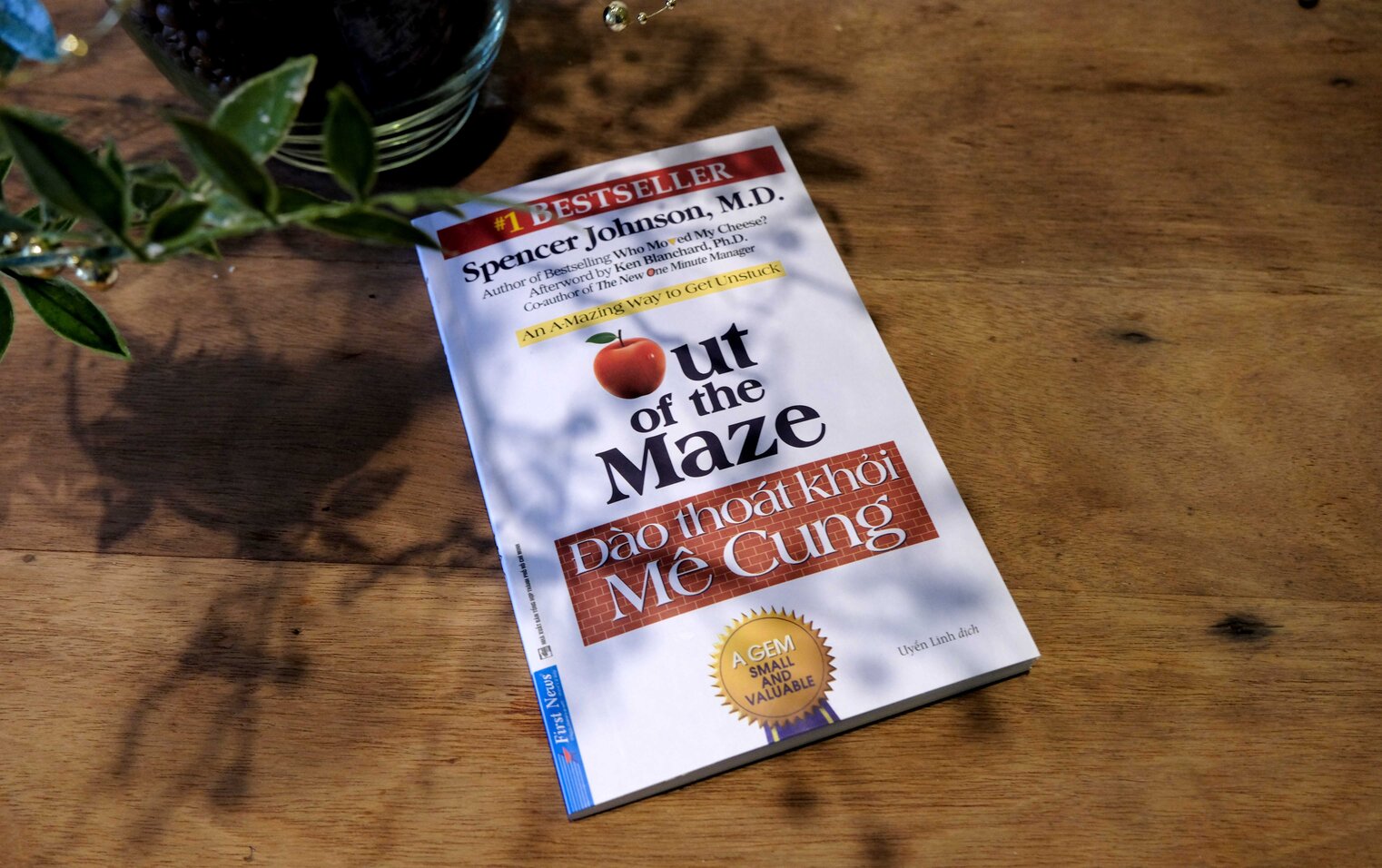 Đào thoát khỏi Mê Cung: Trút bỏ những niềm tin cũ và khám phá những điều bất khả thi