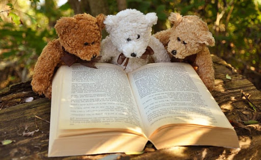 6 bước để đọc sách hiệu quả hơn