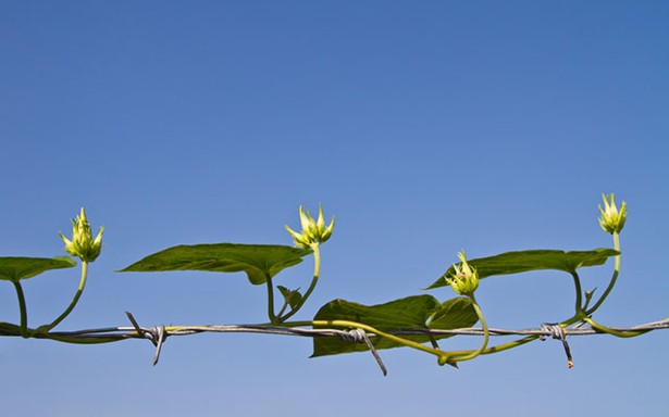 Đừng sống chỉ vì hạnh phúc: Đi tìm lẽ sống của đời mình