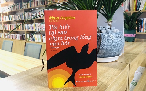 Tôi biết tại sao chim trong lồng vẫn hót