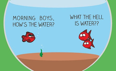 Đây là nước - David Foster Wallace