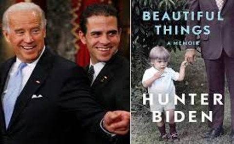 Các nhà phê bình nói gì về cuốn sách của con trai ông Biden