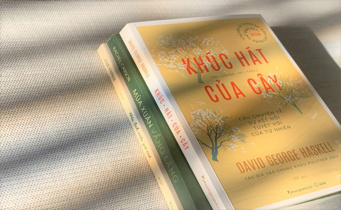 Lắng nghe thiên nhiên từ “Khúc hát của cây”