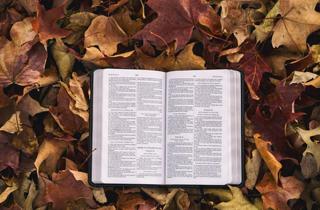 Những người không đọc sách, rốt cuộc là thua ở đâu? Thua mọi mặt!