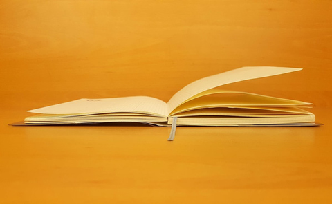 4 thái độ đúng đắn của người BIẾT ĐỌC: Đọc sách mù quáng chỉ ôm thất bại