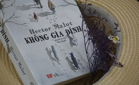 “Không Gia Đình” – Hector Malot – Hình Ảnh Cậu Bé Remi Cô Đơn Trong Bản Thân Mình