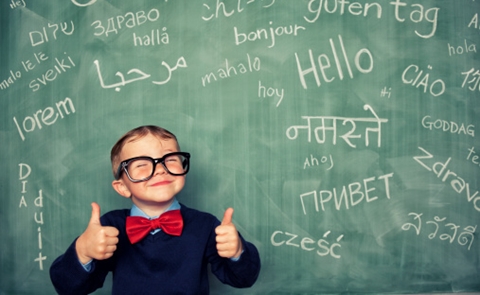 Cách học một ngôn ngữ nhanh và không bao giờ quên nó - Lời người dịch