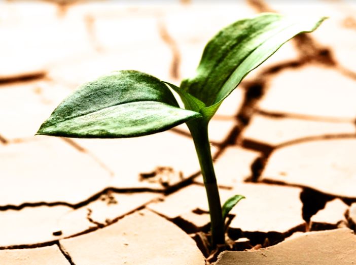 Con đường thoát hạn: Giải pháp Israel cho một thế giới khát nước