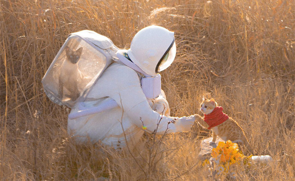 Bạn mải miết đi tìm hình hài của hạnh phúc mà không hay hạnh phúc tại tâm mình