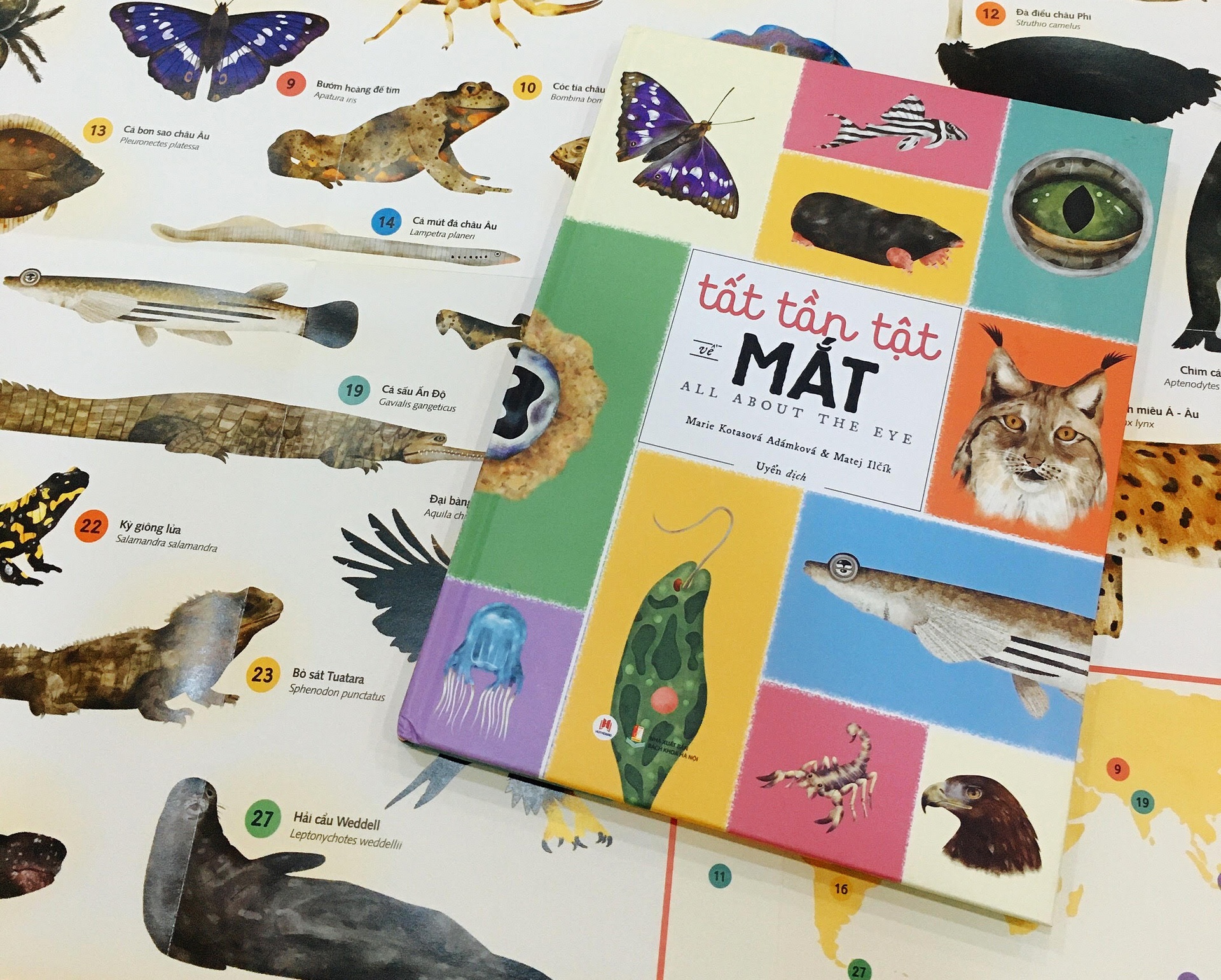 Những con mắt độc đáo trong thế giới động vật